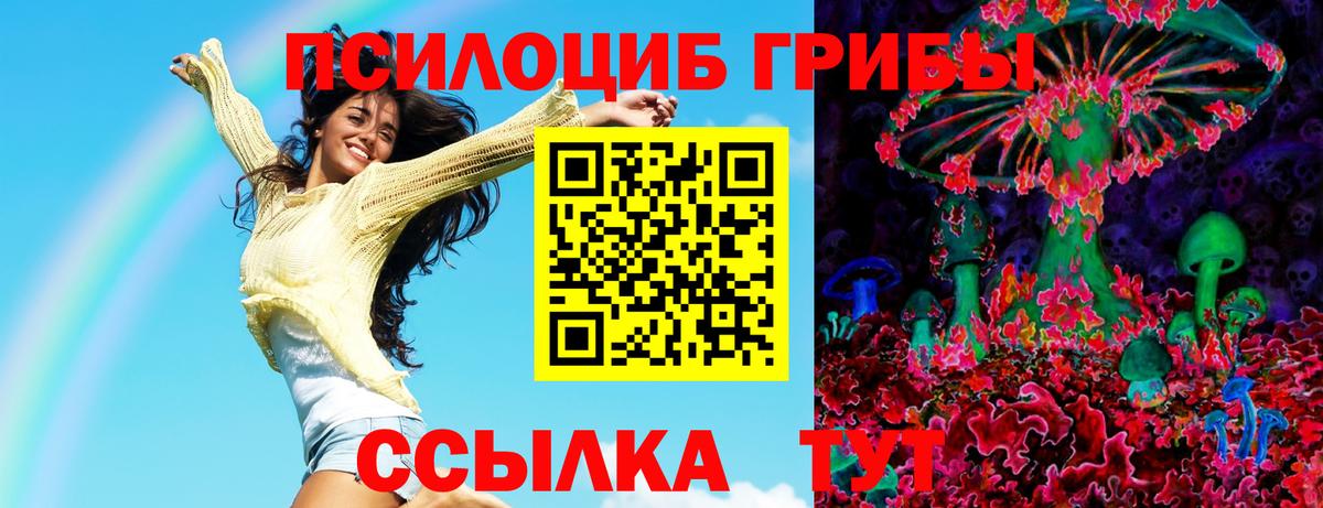 Десногорск  Псилоцибиновые грибы MAGIC MUSHROOMS  Псилоцибиновые грибы Cubensis  хочу   Вход с VPN 